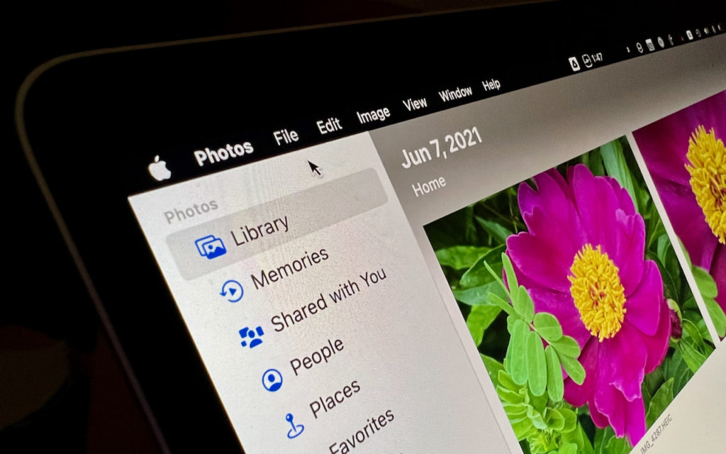 A close-up of a computer screen displaying the Photos app with a bright pink flower image and sidebar options like Library, Memories, Shared with You, People, and Places. The date shown is June 7, 2021.