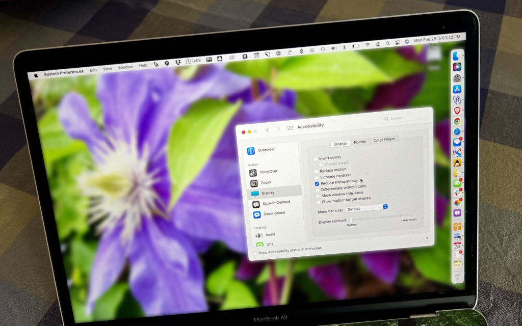 A MacBook Air screen shows the Accessibility settings window over a desktop wallpaper with a close-up photo of a purple flower and green leaves. System icons are visible across the top and right sides of the display.