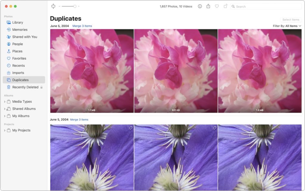 A computer screen shows a photo library’s “Duplicates” section, displaying three pink flower images and three purple flower images identified as duplicates, with options to merge items. The sidebar lists photo categories and albums.