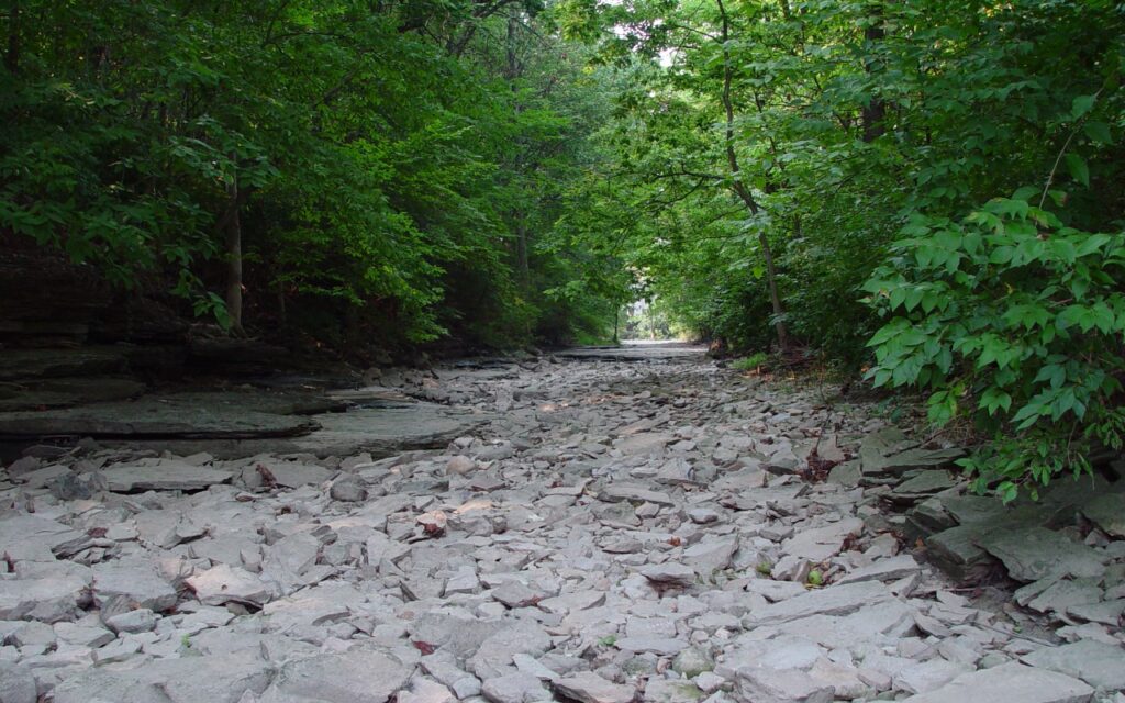 A dry creek bed filled with large, flat rocks is surrounded by dense, green trees and vegetation on both sides, creating a natural tunnel effect. The scene suggests a forest area during a dry season.